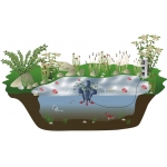 FIAP PondSkim Active #2402