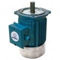 Motor pentru aerator  MASTER 750 FIAP#1280-1