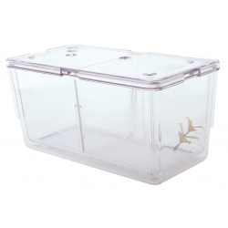 Compartiment reproducere 2 L FIAP #1308 Compartiment reproducere 2 L FIAP #1308
