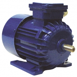 Motor pentru dispozitivul de curatare cu perie FIAP #1994-1 Motor pentru dispozitivul de curatare cu perie FIAP #1994-1