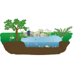 Hranitor de tip casuta FIAP #2641 Hranitor de tip casuta FIAP #2641