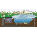 FIAP BioScreen Active #2835 FIAP BioScreen Active #2835